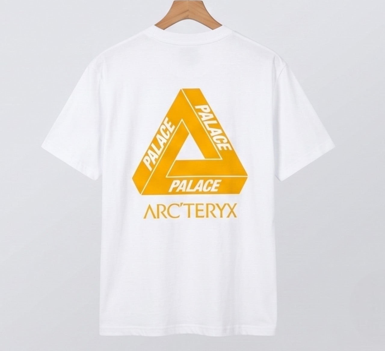 아크 팔라스 그래픽 반팔-