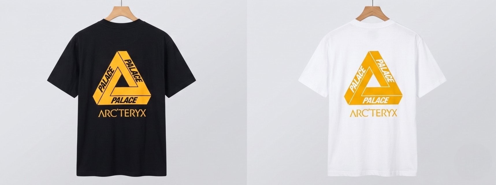 아크 팔라스 그래픽 반팔-